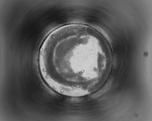 X0000103900847200810311408