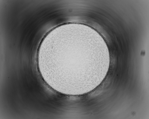 X0000103900848200810311408