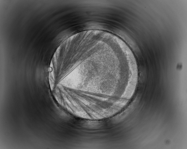 X0000103900849200810311408