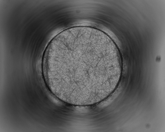 X0000103900850200810311408