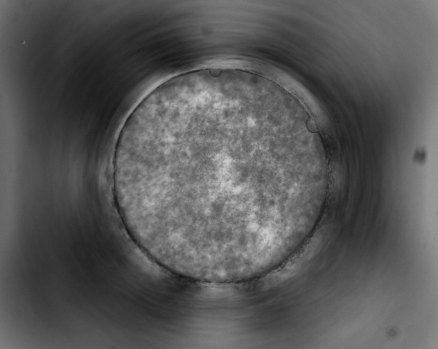 X0000103900852200810311408