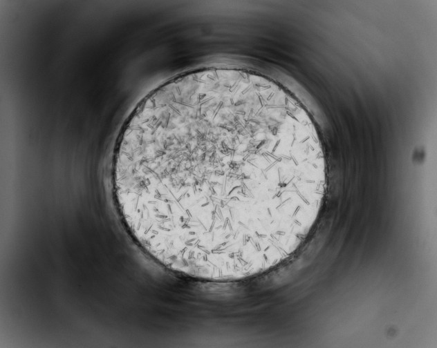 X0000103900853200810311408