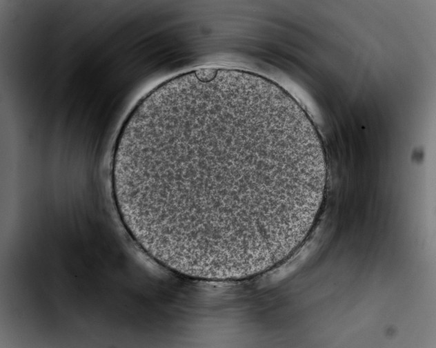 X0000103900854200810311408