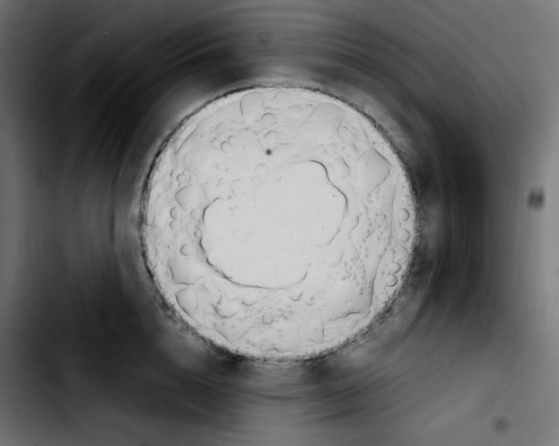 X0000103900856200810311408