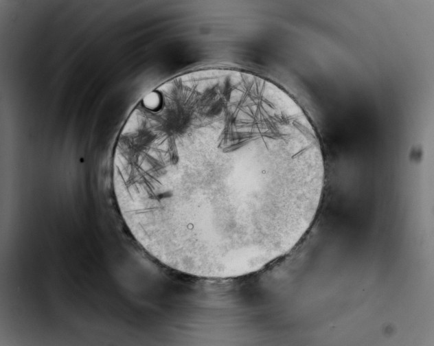 X0000103900858200810311408