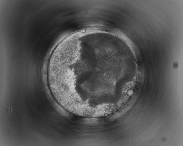 X0000103900859200810311408