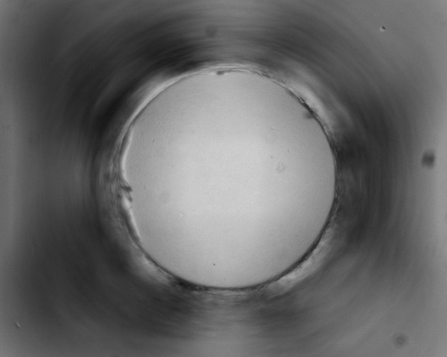 X0000103900860200810311408