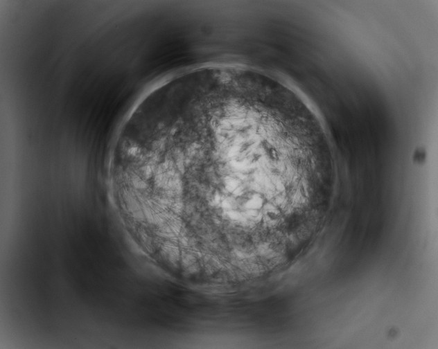 X0000103900861200810311408