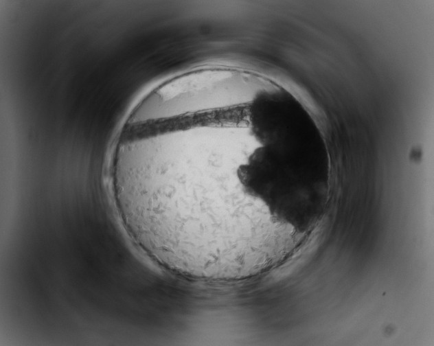 X0000103900862200810311408