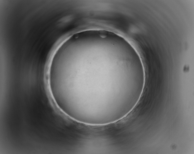 X0000103900864200810311408