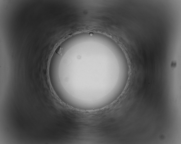 X0000103900865200810311408