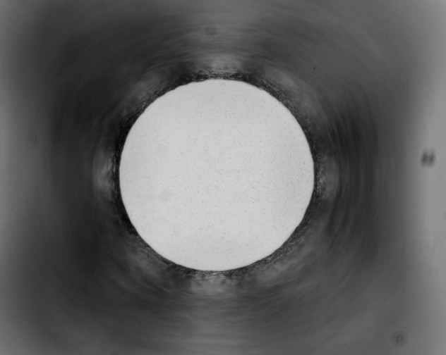 X0000103900866200810311408