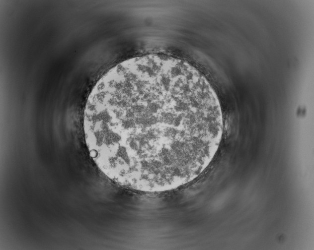 X0000103900867200810311408