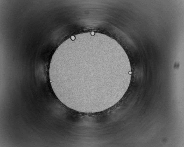 X0000103900868200810311408