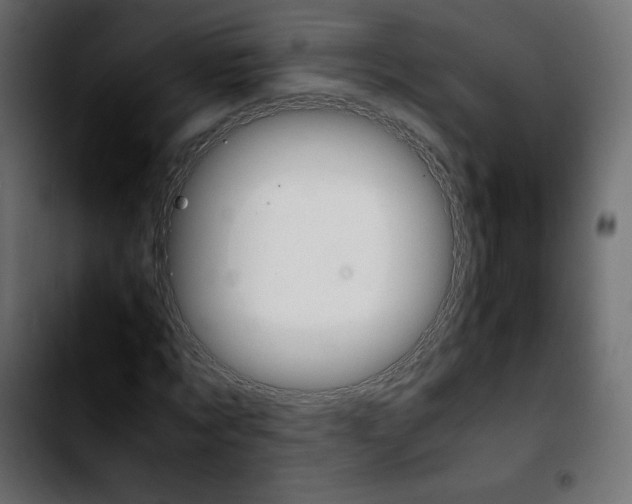 X0000103900869200810311408