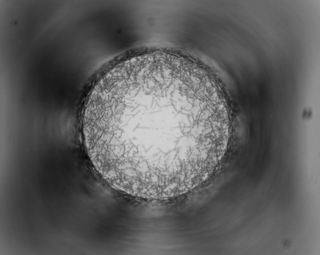 X0000103900872200810311407