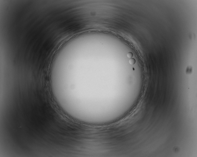 X0000103900873200810311407