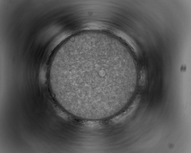 X0000103900874200810311407