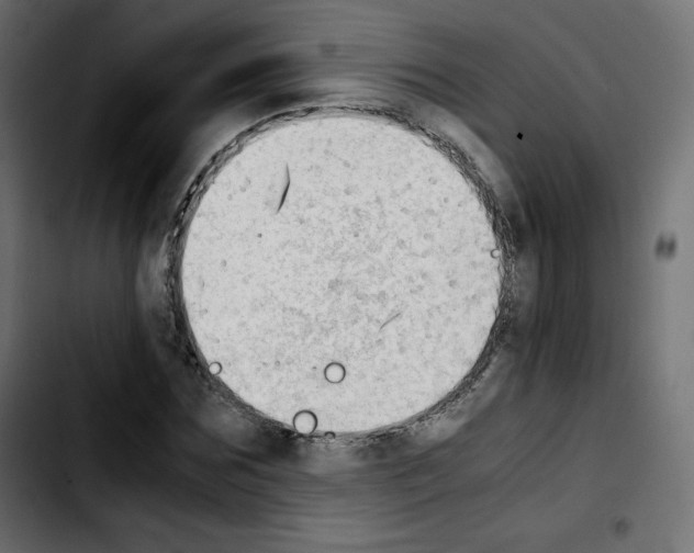 X0000103900875200810311407