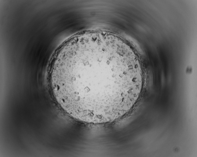 X0000103900876200810311407