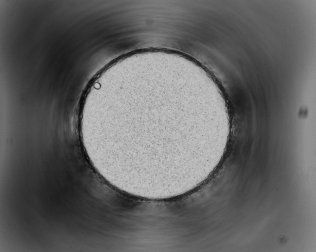 X0000103900877200810311407