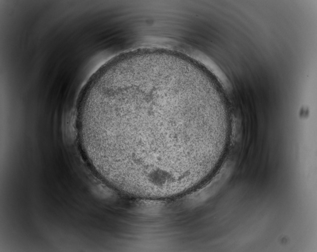 X0000103900878200810311407