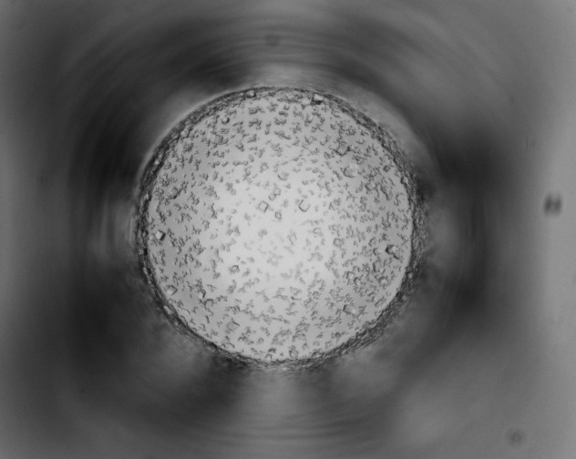 X0000103900880200810311407