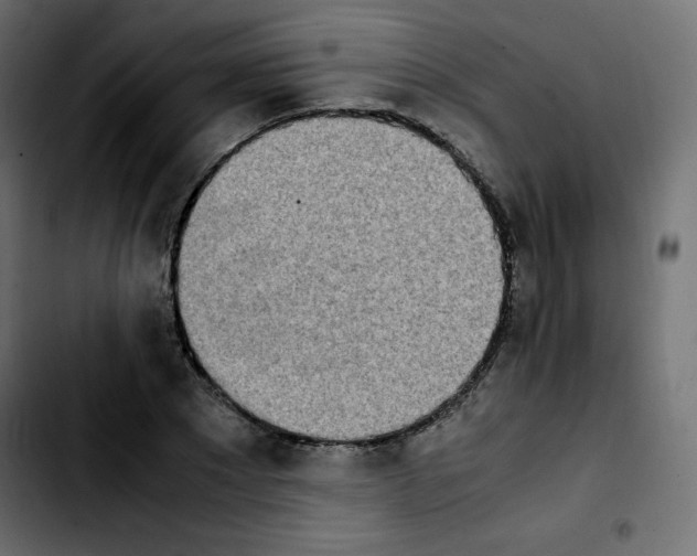 X0000103900881200810311407