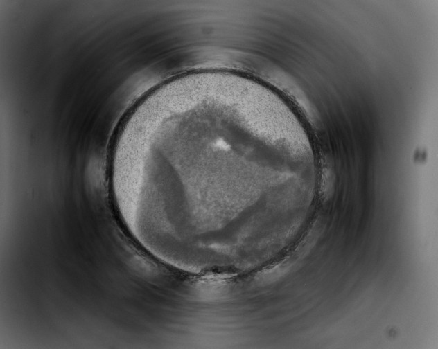 X0000103900882200810311407