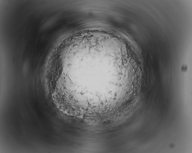 X0000103900883200810311407