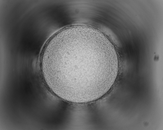 X0000103900884200810311407