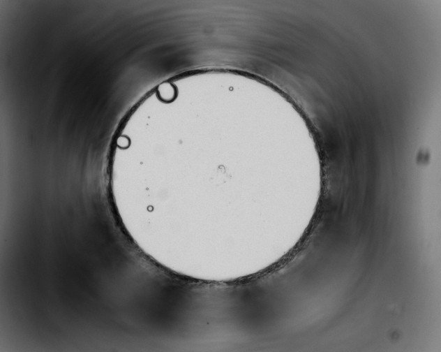 X0000103900885200810311407