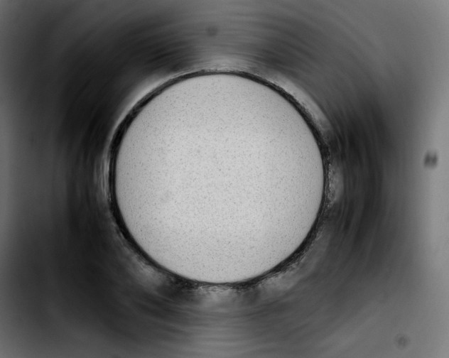 X0000103900886200810311407