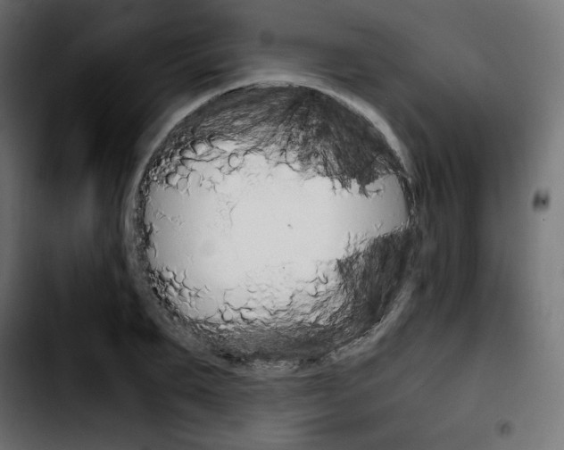 X0000103900887200810311407