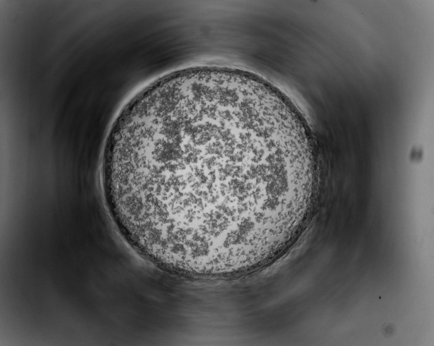 X0000103900888200810311407