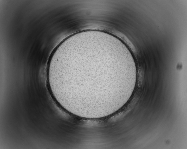 X0000103900890200810311407