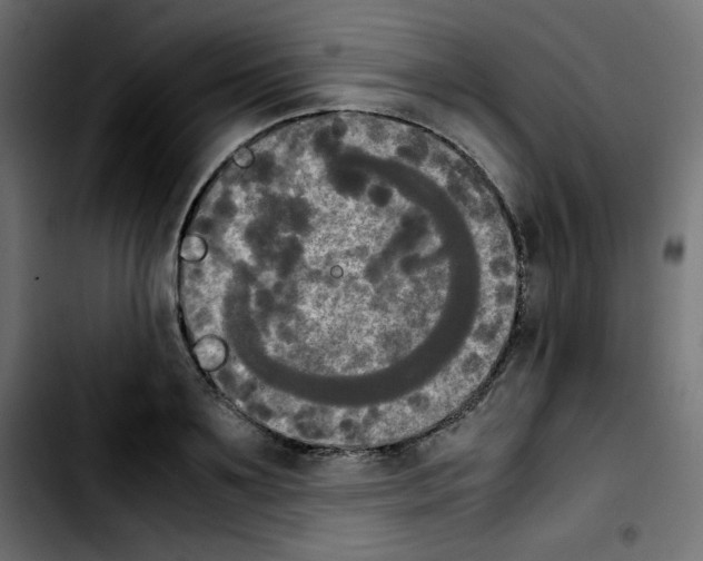 X0000103900891200810311407