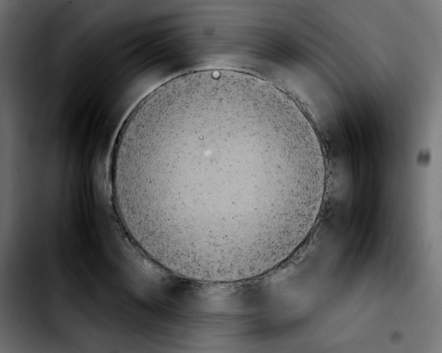 X0000103900892200810311407