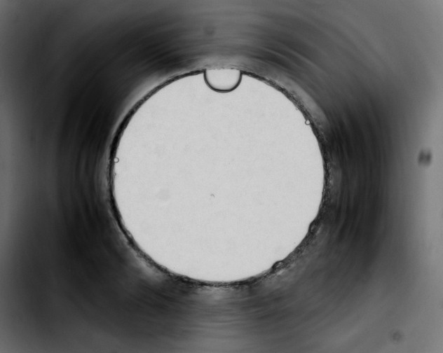 X0000103900894200810311407