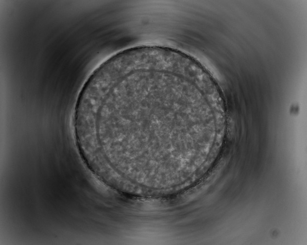 X0000103900895200810311407