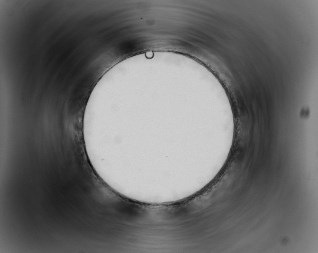 X0000103900897200810311407