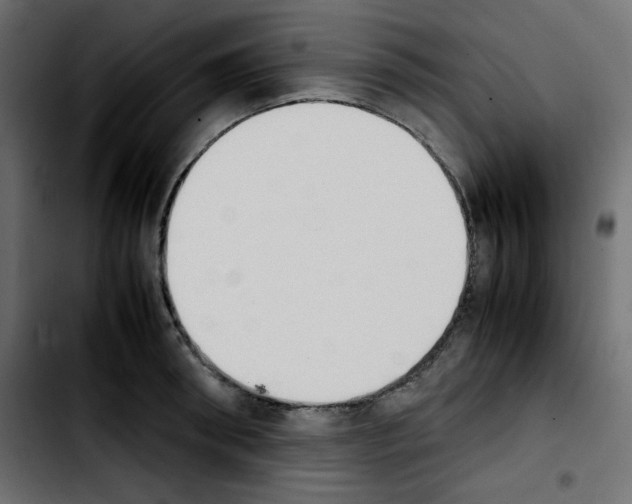 X0000103900898200810311407