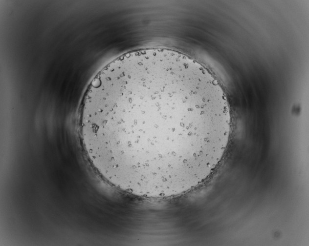 X0000103900900200810311407