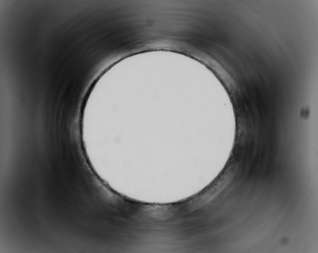 X0000103900902200810311407