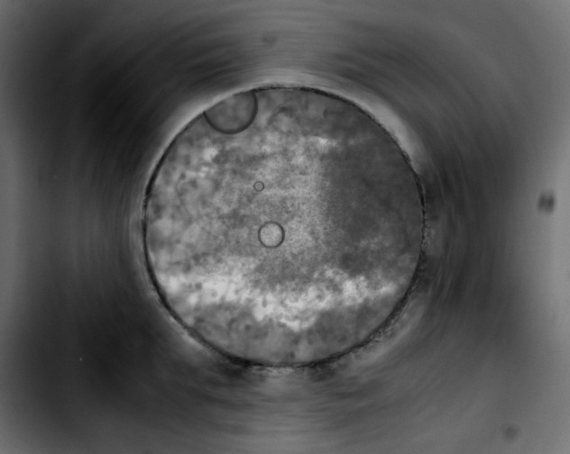 X0000103900903200810311407