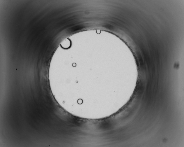 X0000103900905200810311407