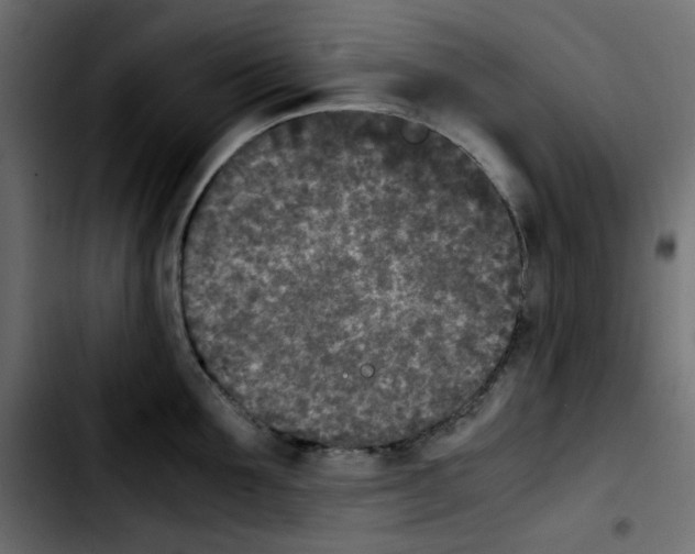 X0000103900907200810311407