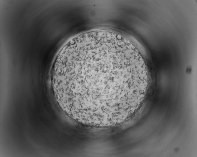 X0000103900908200810311407