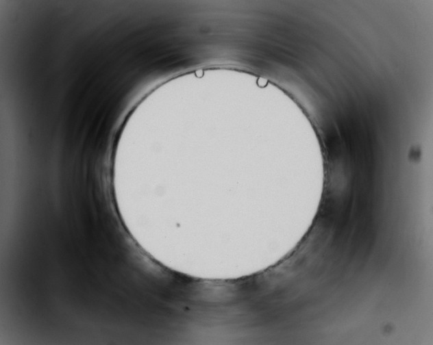 X0000103900910200810311407