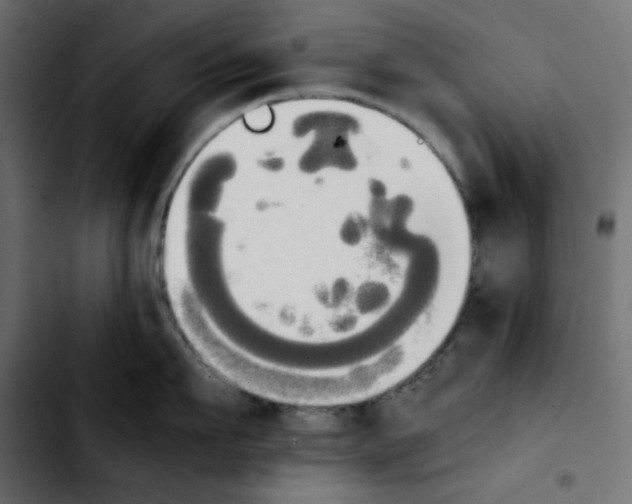 X0000103900911200810311407